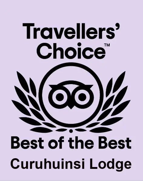 Traveler-Choice-The-Best-2022